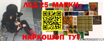 spice Гуково