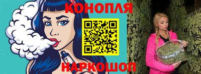 шишки Гудермес