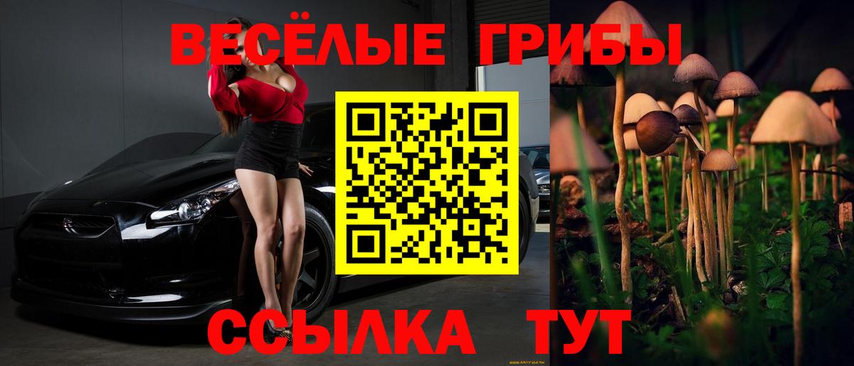 Саров  Галлюциногенные грибы GOLDEN TEACHER  Псилоцибиновые грибы мицелий  Вход с VPN 